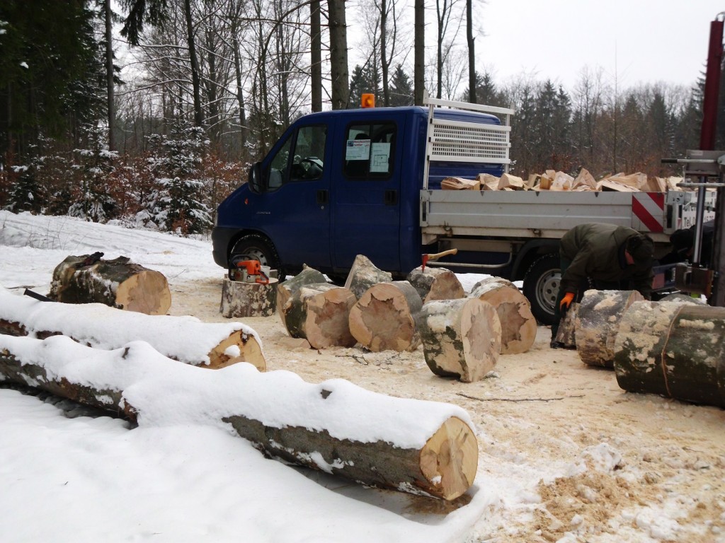 Holz Februar 2013 020